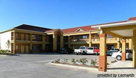Crystal Suites